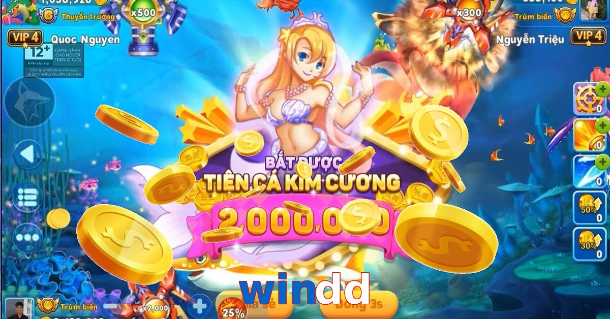 windd